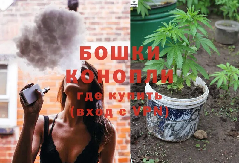 Конопля SATIVA & INDICA  нарко площадка телеграм  Нерехта 